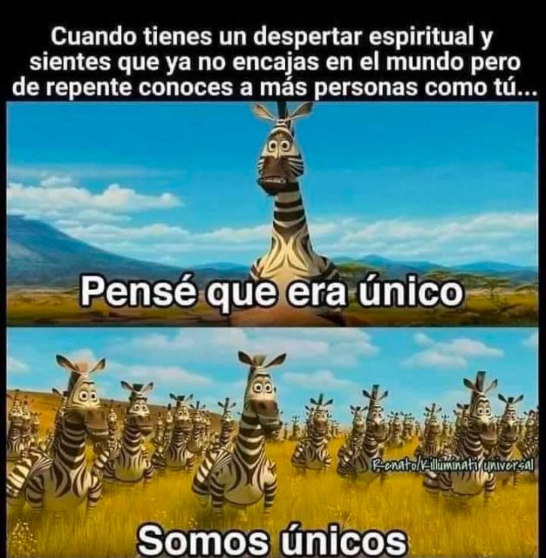 Yerberitos